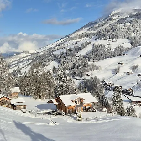 Anno Domini Appartement-fewo- Dusche Und Bad- Wc- 2 Schlafraeume 2-zimmer By Interhome * Adelboden
