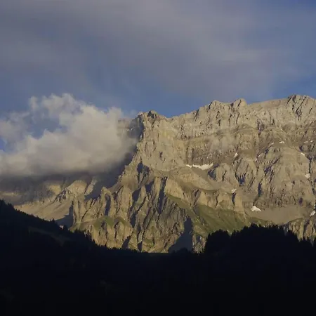 Anno Domini Appartement-fewo- Dusche Und Bad- Wc- 2 Schlafraeume 2-zimmer By Interhome * Adelboden